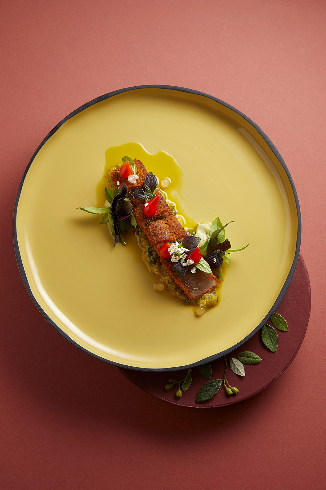 Longe de thon panee chimichurri basilic arromates